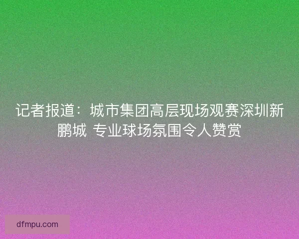 记者报道：城市集团高层现场观赛深圳新鹏城 专业球场氛围令人赞赏
