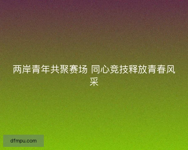 两岸青年共聚赛场 同心竞技释放青春风采