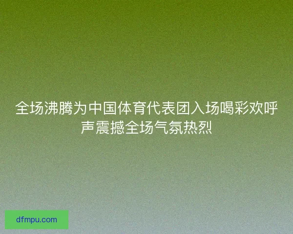 全场沸腾为中国体育代表团入场喝彩欢呼声震撼全场气氛热烈